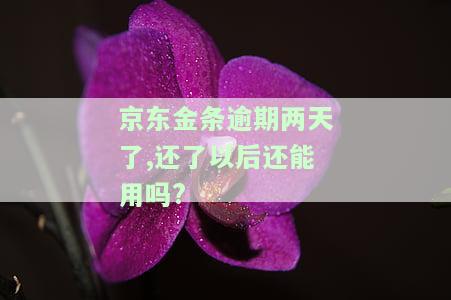 京东金条逾期两天后还款，能否继续使用？安全性如何？