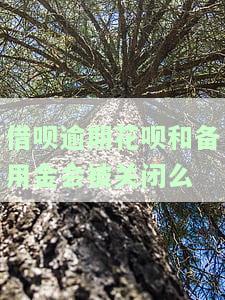 借呗逾期后归还会影响备用金使用吗？