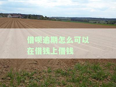 借呗逾期怎么可以在借钱上借钱呢，如何解决借呗逾期后在其他借款平台上的借款问题？