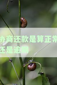 协商还款有用吗？12378是否能成功协商还款？