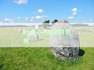 光大心e金逾期了还款进去还可以继续使用吗，光大心e金逾期还款后能否继续使用？