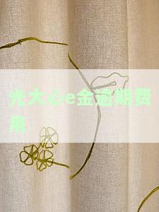 光大心e金逾期一天上征信吗，光大心e金逾期一天是否会上征信？