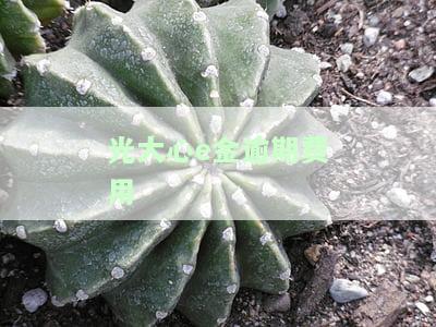 光大银行心e金逾期罚息高，是否还需还款？逾期后能否继续使用？逾期一天会否上征信？