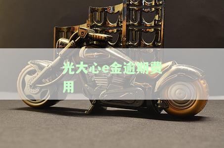 光大心e金逾期费用