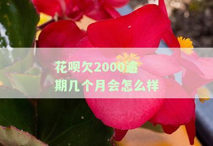 花呗欠2000逾期几个月的后果是什么？