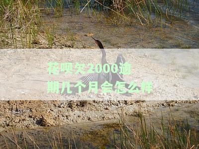 花呗欠2000逾期几天会产生什么后果？逾期多久会被告上法庭？