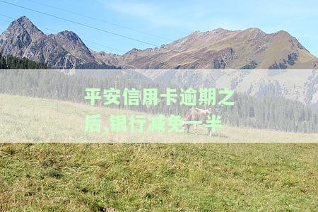 平安信用卡逾期后，银行减免一半利息如何计算？