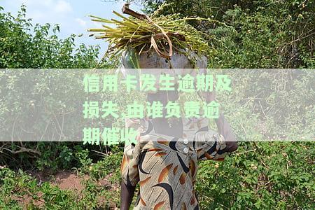 信用卡发生逾期及损失,由谁负责逾期催收工作，信用卡逾期催收责任归属：逾期及损失应由谁负责？