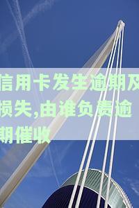 信用卡发生逾期及损失,由谁负责逾期催收，信用卡逾期催收责任归属：谁应为逾期及损失负责？