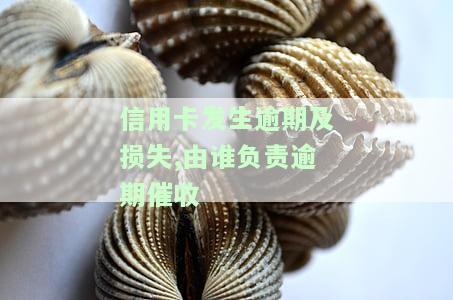 2021年信用卡逾期立案标准：详细解读与最新规定