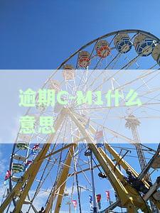 逾期C-M1：指标含义与逾期程度解析