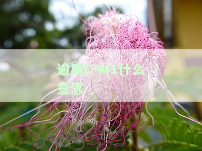 逾期程度M1的含义解析