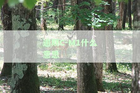 逾期m1m2m3是什么意思，什么是逾期M1、M2、M3？解析这三个术语的含义和区别