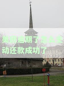 美团逾期了怎么主动还款成功了呢，成功解决美团逾期问题：教你如何主动还款