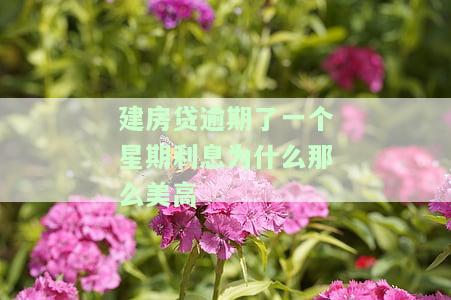 我的房贷逾期一个星期了会怎样，房贷逾期一周的后果是什么？