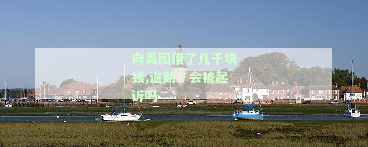 向美团借几千块逾期未还，是否会被起诉？解决方案是什么？