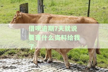 借呗逾期7天：收到寄资料通知，会通知家人吗？