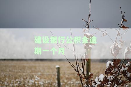 建设银行公积金逾期一个月有影响吗？如何解决？