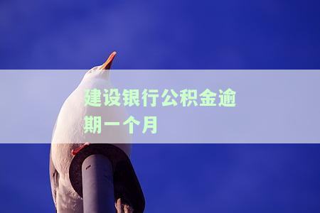 建行公积金逾期一天会上征信报告吗，建行公积金贷款逾期一天是否会影响个人征信记录？