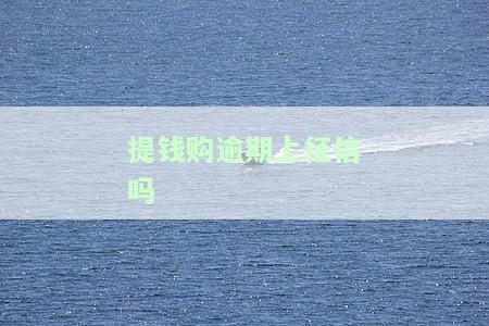 提钱购逾期1天有事吗？影响及后果解析
