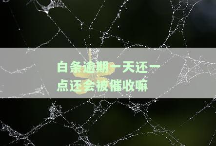 白条逾期一天真的会被催收吗？