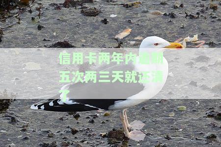 信用卡2年内逾期5次：后果与解决办法