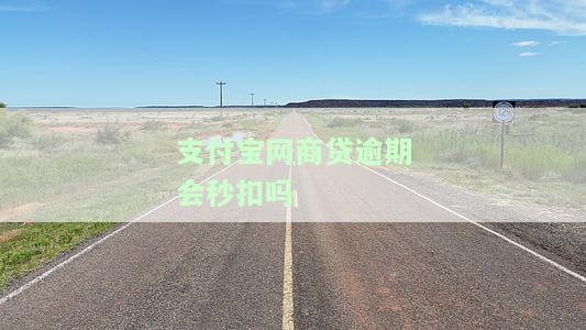 支付宝网商贷逾期影响详解：全面解析逾期后果