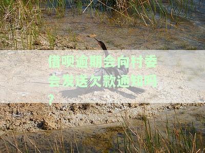 借呗逾期会向村委会发送欠款通知吗安全吗，关于借呗逾期向村委会发送欠款通知的安全性探讨