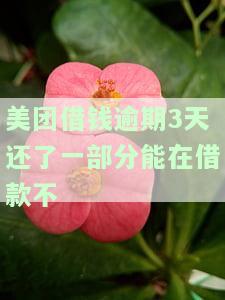 美团借钱逾期3天还进去还能借出来吗，美团借钱逾期三天后还款，能否再次借款？