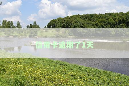 信用卡逾期了1天会有什么后果，逾期一天的信用卡会带来什么后果？