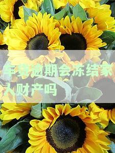 车贷逾期会冻结银行账户吗？如何处理冻结情况？