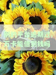 万卡逾期上征信，结清后能否注销？