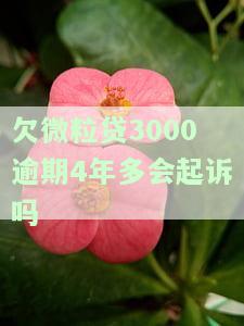 欠微粒贷3000逾期4年多会起诉吗怎么办，欠微粒贷3000逾期4年多，会被起诉吗？解决方案在此！