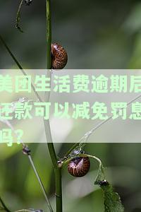 美团生活费逾期：一次性还完所有欠款吗？全额结清要求合理吗？