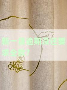 新一贷贷款逾期了怎么办，如何处理新一贷贷款逾期问题？