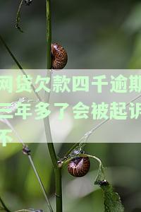 网贷欠款四千逾期三年多了会被起诉不还吗，网贷欠款四千逾期三年，真的会被告上法庭吗？