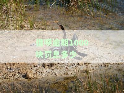 借呗逾期1000块罚息多少-借呗逾期1000块罚息多少钱