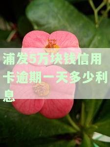 欠浦发银行5万信用卡逾期3月，该如何处理？