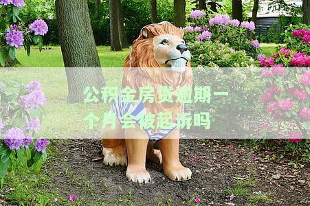 公积金房贷逾期一个月会被起诉吗知乎，公积金房贷逾期一个月是否会被起诉？——知乎用户热议话题