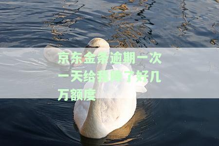 京东金条逾期一天了,还了会影响征信吗，逾期还款京东金条一天，会对个人征信造成影响吗？