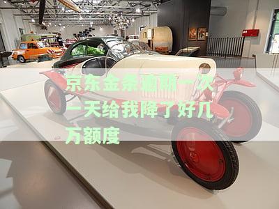 京东金条逾期一次一天给我降了好几万额度-京东金条逾期一次一天给我降了好几万额度怎么办