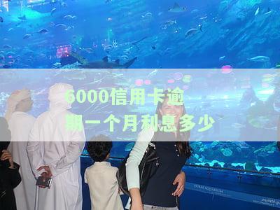 信用卡6000逾期半年利息多少？关键信息全在这！