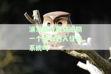 浦发银行房贷逾期一天会进入征信系统吗，浦发银行房贷：逾期一天是否会被纳入征信系统？