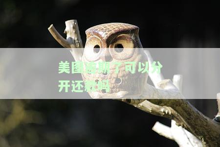 美图逾期后如何分开还款？