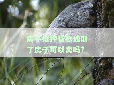 房子抵押贷款逾期了，能否继续售卖？解决方案是什么？