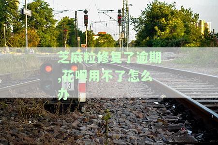 芝麻粒逾期修复次数及方法：如何修复逾约，修复间隔多长时间？