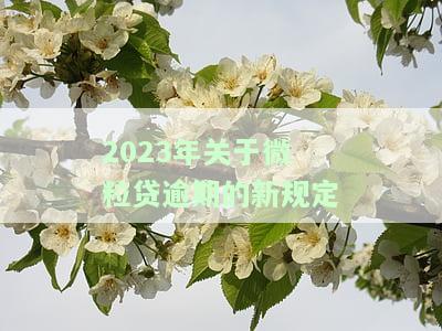 2020年微粒贷逾期人数及欠款总额统计