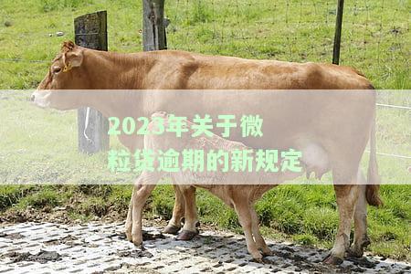 2023年关于微粒贷逾期的新规定-微粒贷逾期了会怎么样?