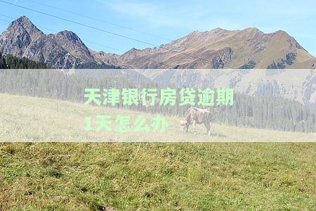 天津银行房贷逾期1天怎么办理？期还款攻略