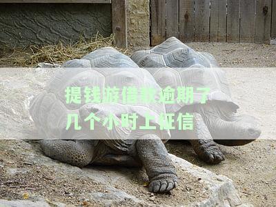 提钱游逾期多少天上征信，逾期提醒：提钱游未按时还款，将影响您的个人信用记录！